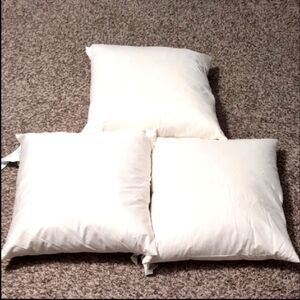 Restoration Hardware Square Pillow Inserts